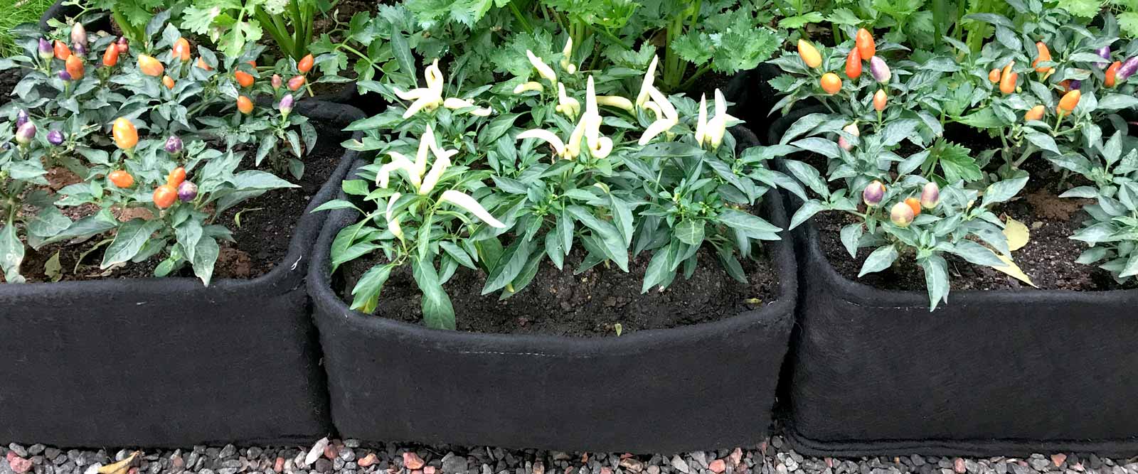 SkyGrow Home garden plant pots